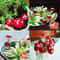 Miniature Fairy Garden Ornament Set 10