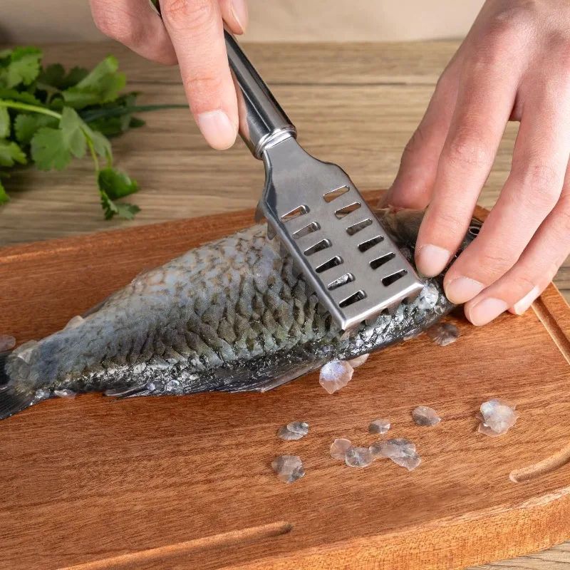 Stainless Steel Fish Scale Remover 2