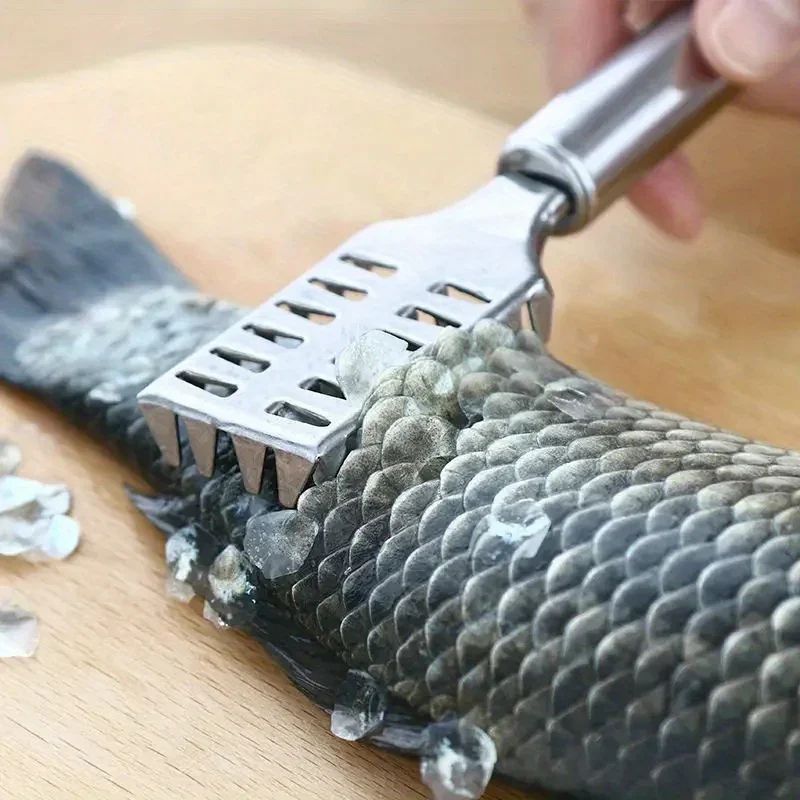 Stainless Steel Fish Scale Remover 6