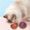 Corrugated Cat Scratching Toy With Bell 3