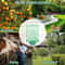 Reusable Hanging Fly Catcher Cage 4