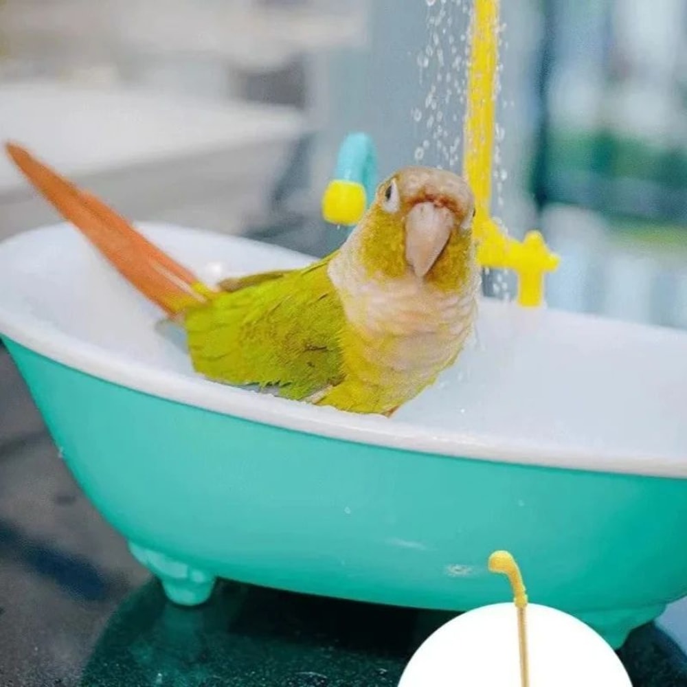 Automatic Parrot Bird Bath Shower 0