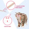 Cat Teaser Wand Toy With Fish Design 3