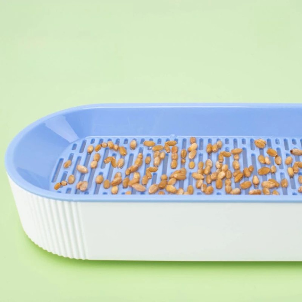 Hydroponic Cat Grass Planter Box 2