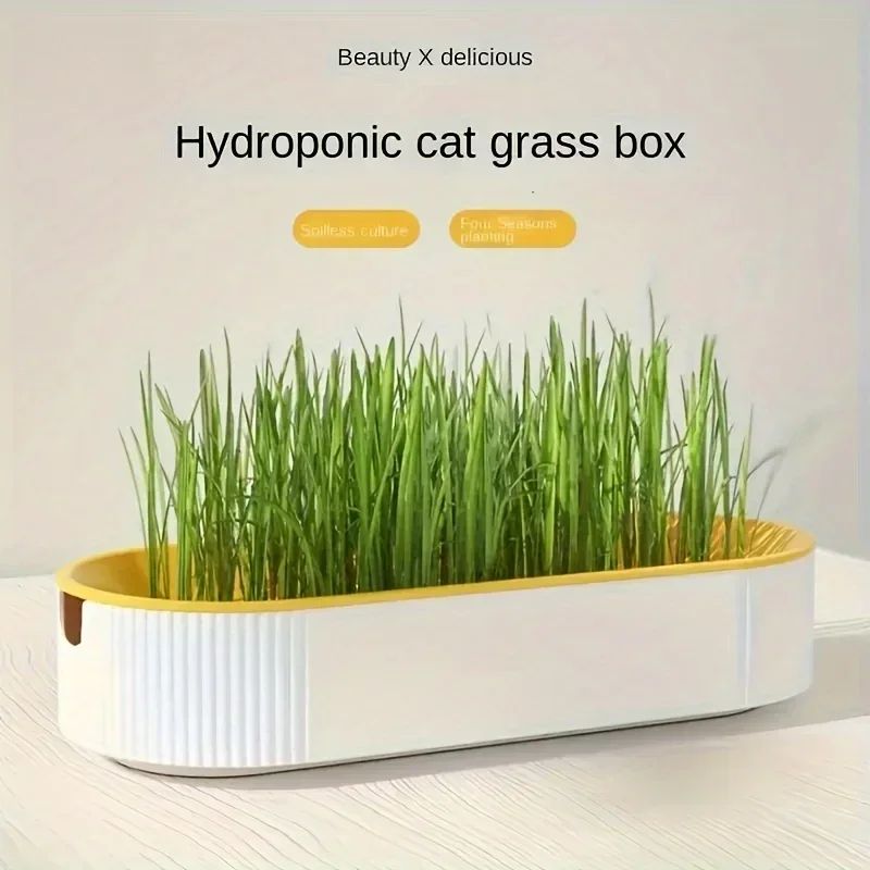 Hydroponic Cat Grass Planter Box 3