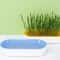 Hydroponic Cat Grass Planter Box 4