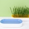 Hydroponic Cat Grass Planter Box 4