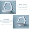 Hexagon Wall Shelf Display Set 3