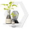 Hexagon Wall Shelf Display Set 4