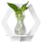 Hexagon Wall Shelf Display Set 8