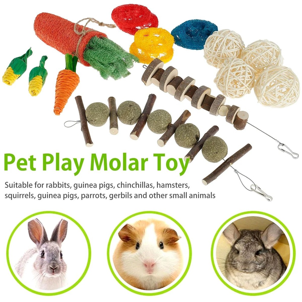 Natural Wooden Small Pet Chew Toy Set 9