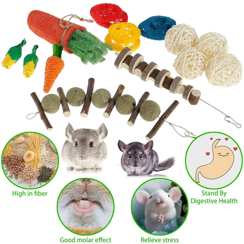 Natural Wooden Small Pet Chew Toy Set 10