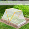 Portable Garden Greenhouse Cover 2
