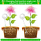 Automatic Plant Watering Ball Set 2