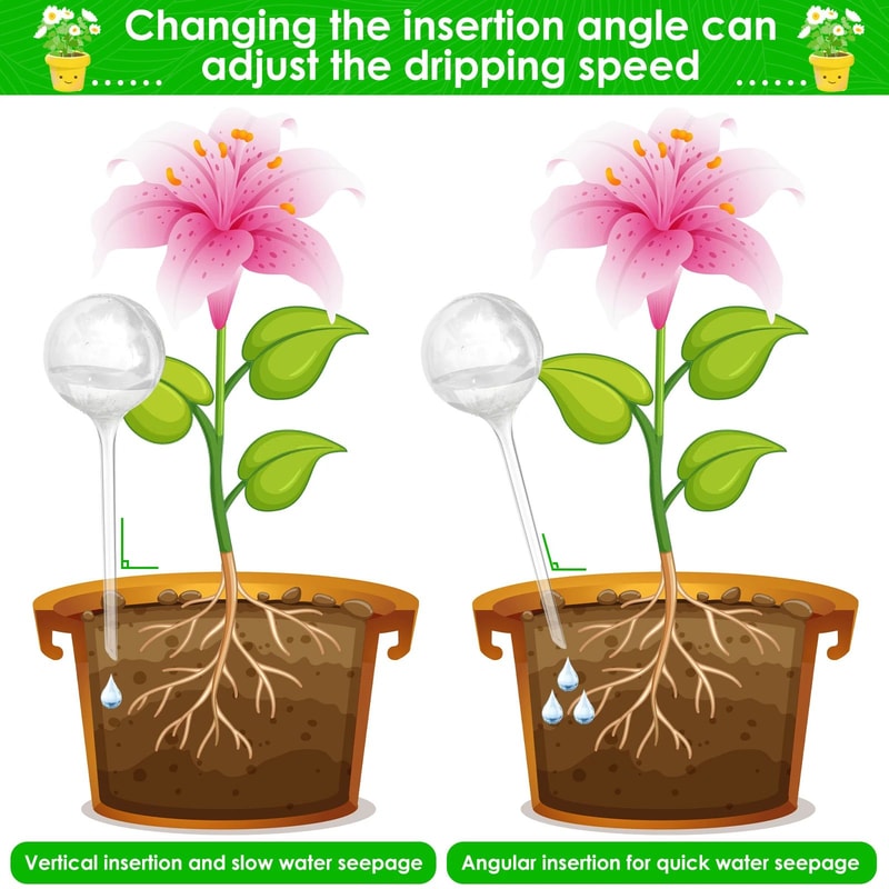 Automatic Plant Watering Ball Set 2