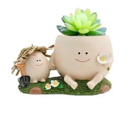 cute smiley face succulent planter