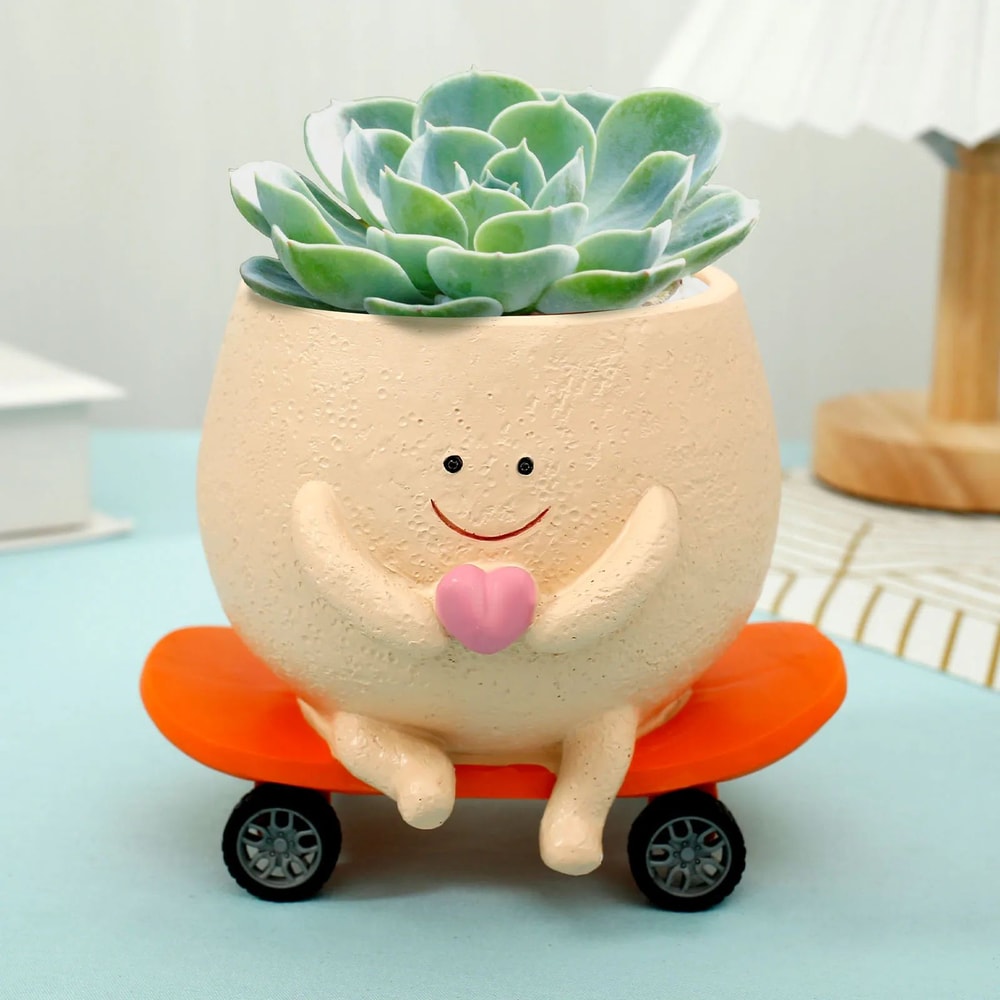 Cute Smiley Face Succulent Planter 9