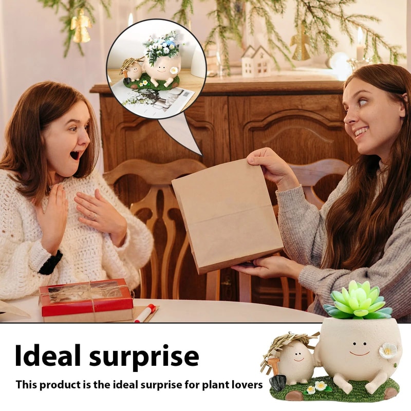 Cute Smiley Face Succulent Planter 11