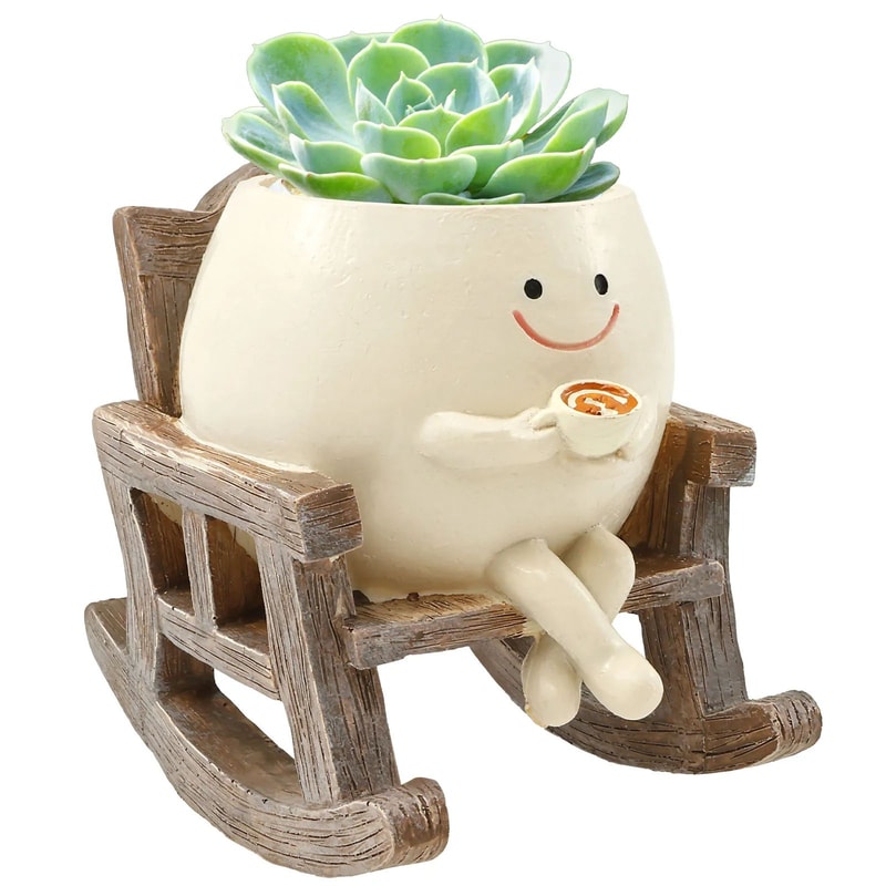 Cute Smiley Face Succulent Planter 18