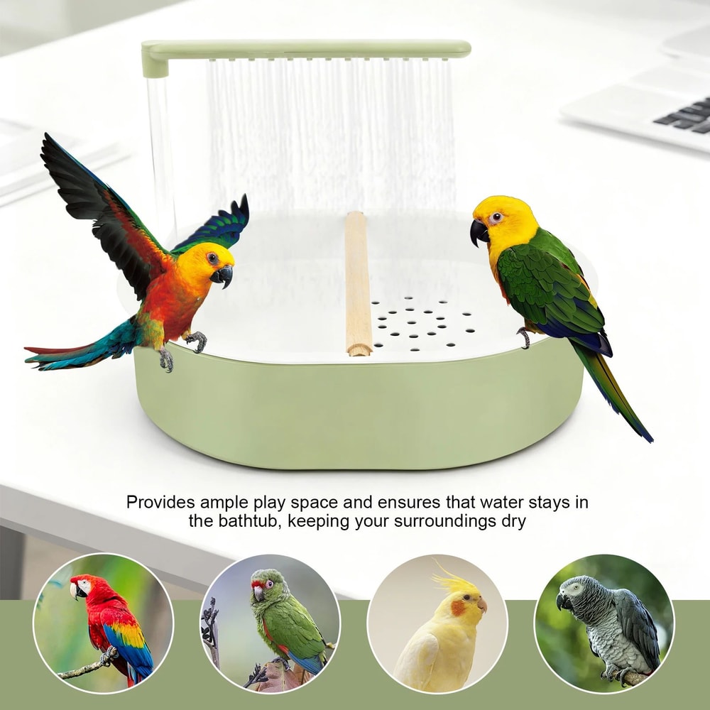 Automatic Bird Bath Fountain 4