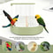 Automatic Bird Bath Fountain 4
