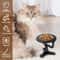 Adjustable Elevated Pet Bowl Stand 1
