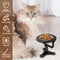 Adjustable Elevated Pet Bowl Stand 1