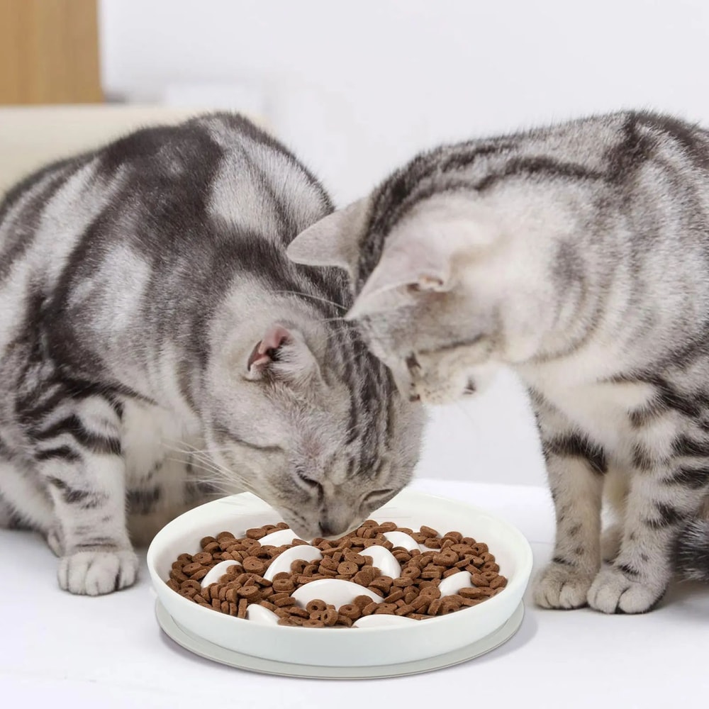 Cat Slow Feeder Ceramic Bowl 2