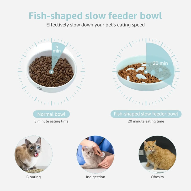 Cat Slow Feeder Ceramic Bowl 7