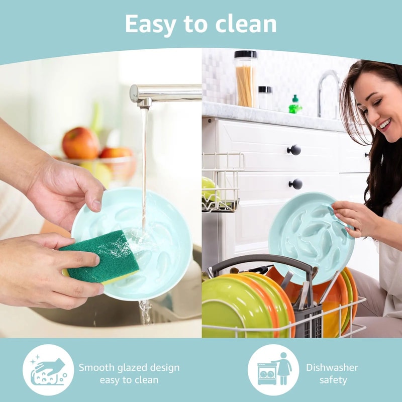 Cat Slow Feeder Ceramic Bowl 10