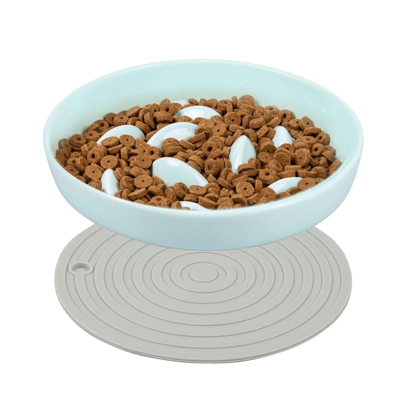 Cat Slow Feeder Ceramic Bowl 13