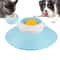Dog Slow Feeder Lick Bowl 0
