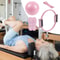 Pilates Ball And Ring Set 6