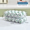 Double Layer Self Rolling Fridge Can Organizer 10
