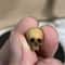 Mini Skull Decorative Figurine 0