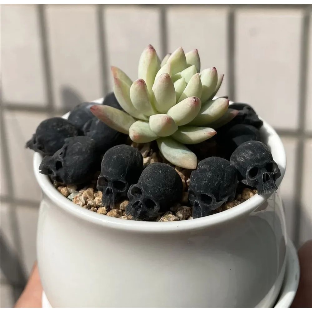 Mini Skull Decorative Figurine 6