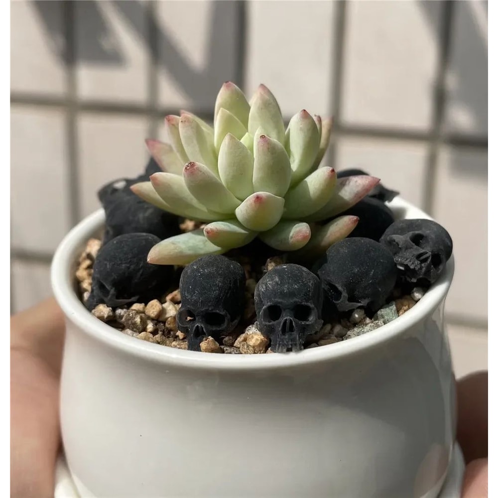 Mini Skull Decorative Figurine 7