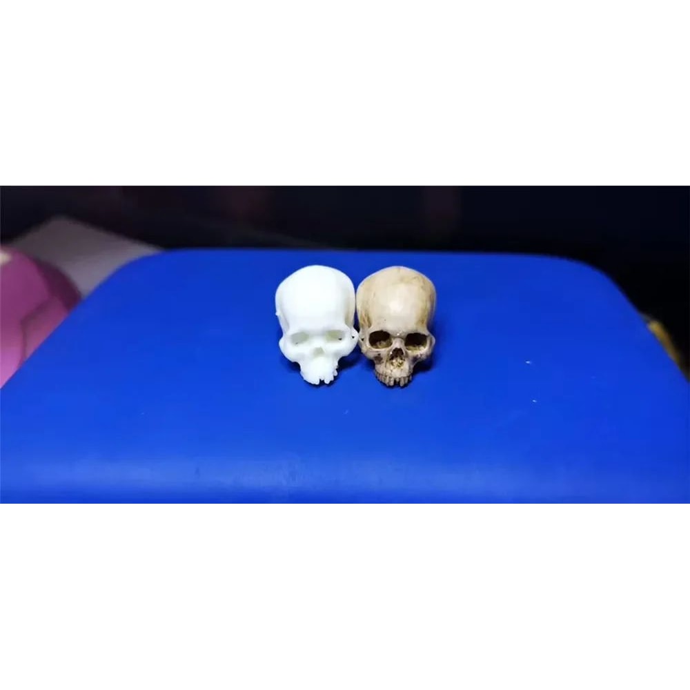 Mini Skull Decorative Figurine 8