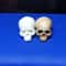 Mini Skull Decorative Figurine 8