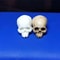 Mini Skull Decorative Figurine 8