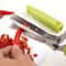 5Layer Multifunctional Kitchen Herb And Vegetable Scissors 1