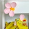 Lotus Petal Magnetic Food Sealing Clips For Kitchen 4