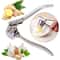 Stainless Steel And Aluminum Alloy Manual Garlic Grinder Press 1
