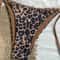 Leopard Print Halter Bikini Set 2