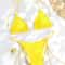 Triangle Micro Thong Bikini Set 16
