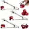 Stainless Steel Cherry And Jujube Corer Tool 2