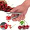 Stainless Steel Cherry And Jujube Corer Tool 3