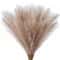 Tall Orange Artificial Pampas Grass Decoration 9