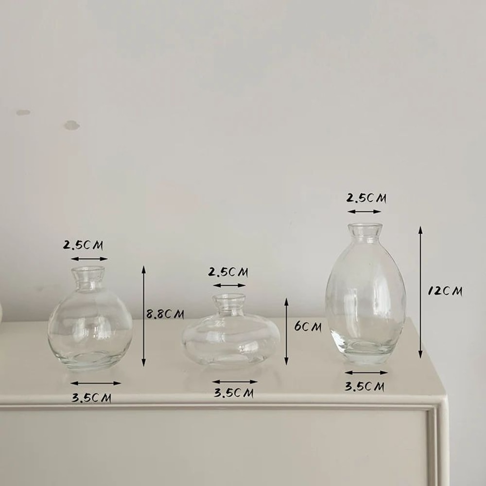 3 Piece Vintage Glass Vase Set For Plants 1