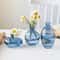 3 Piece Vintage Glass Vase Set For Plants 4